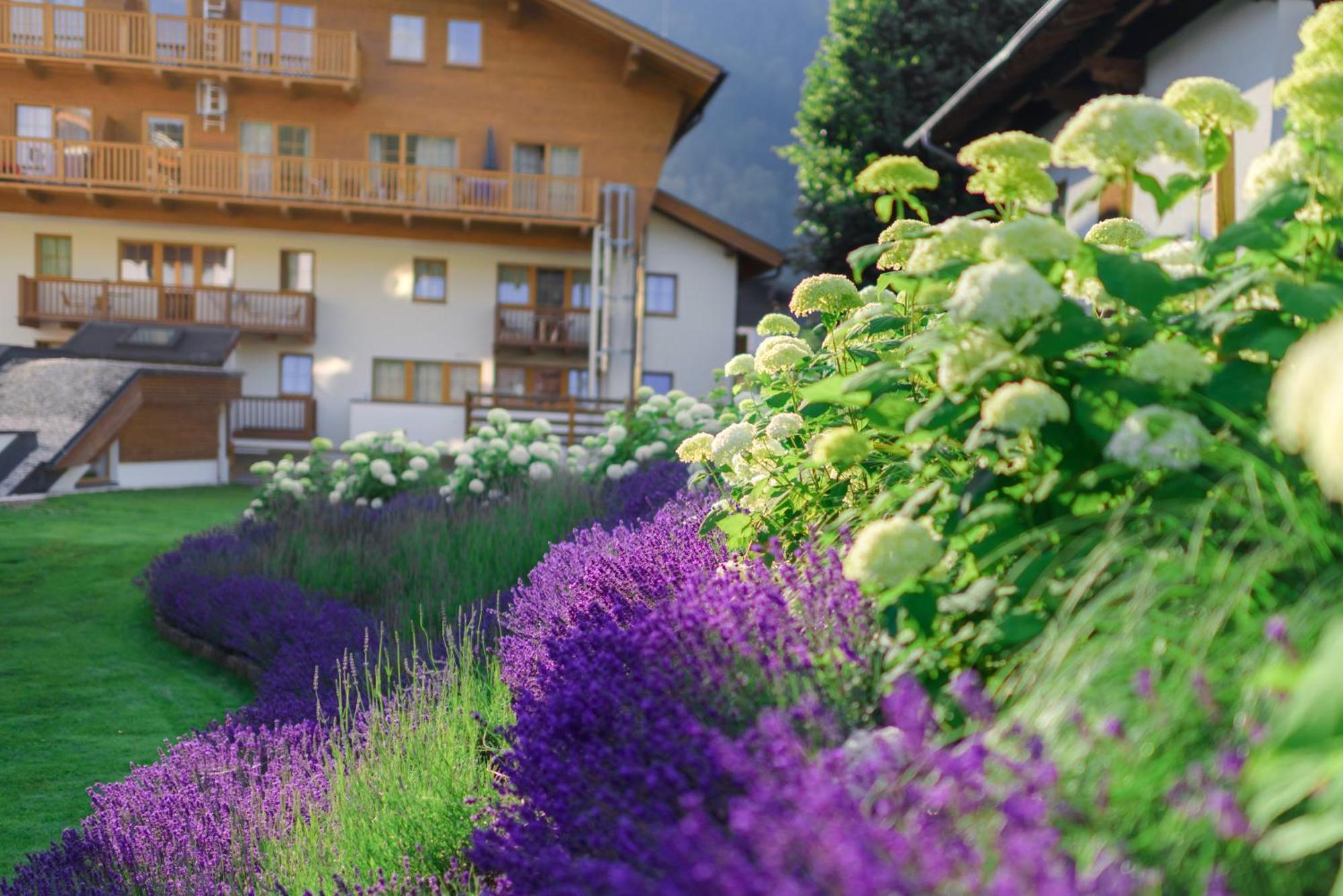 Aparthotel Ferienanlage Central 3*